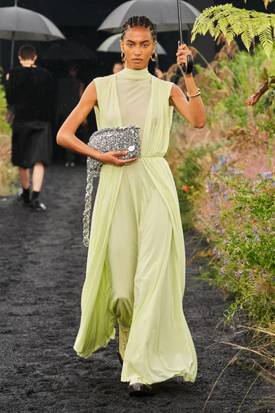 Look 65